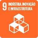 ODS 9 - Indústria, Inovação e Infraestrutura